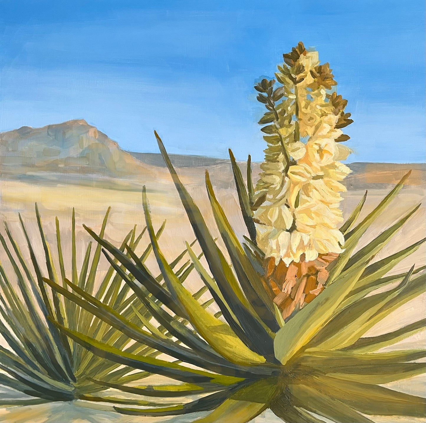 Yucca in the Desert Originial Oil Painting