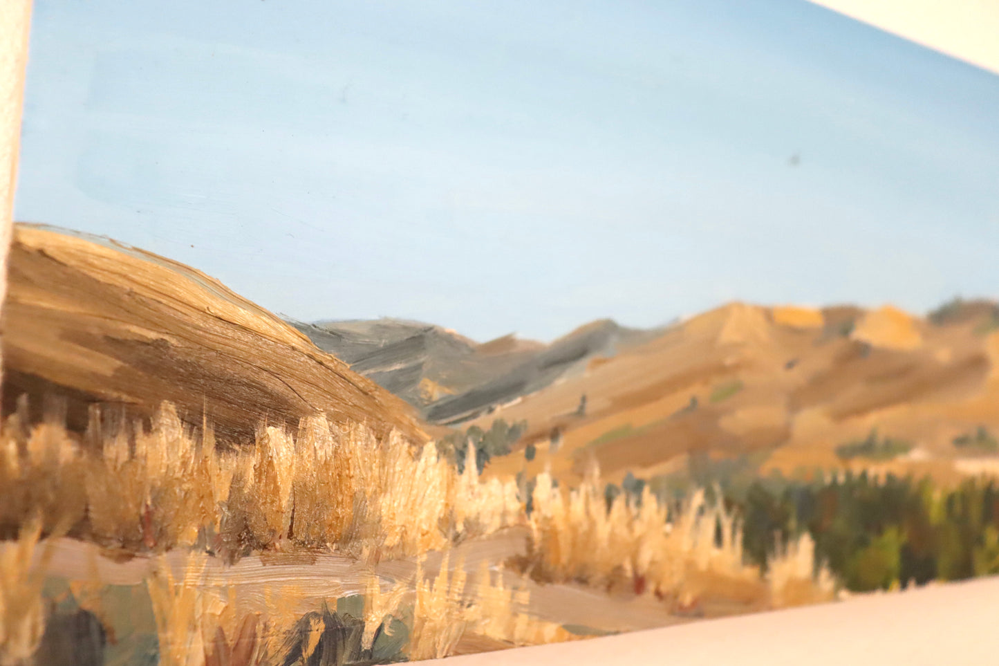 Valley Loop Trail Sun Valley Idaho Plein Air Painting
