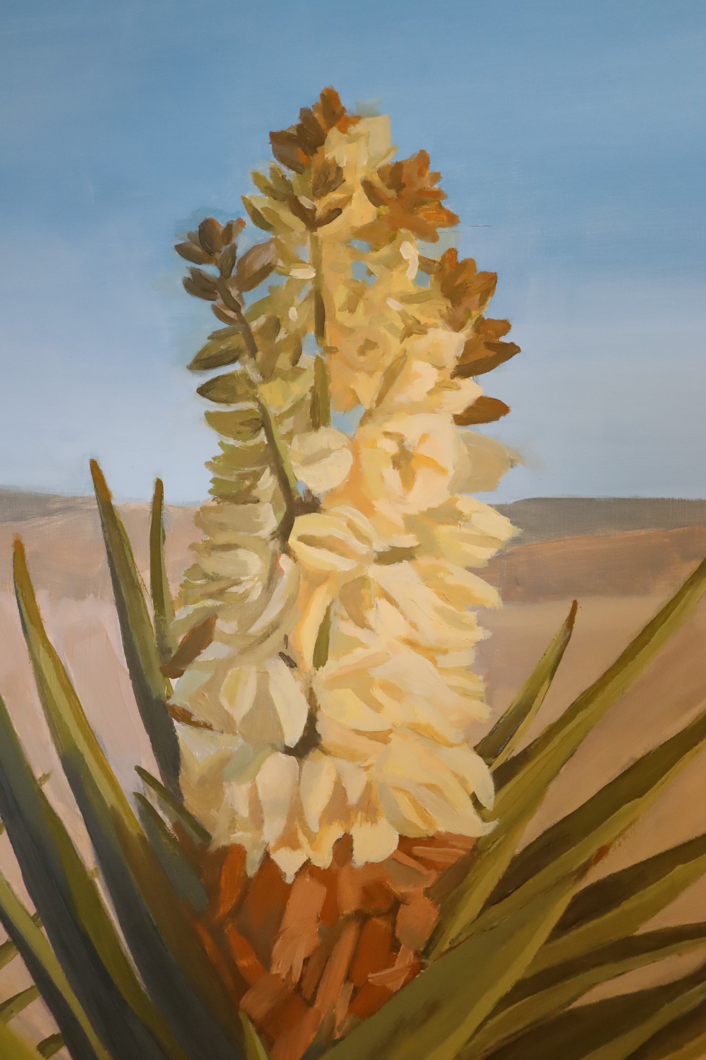 Yucca in the Desert Originial Oil Painting