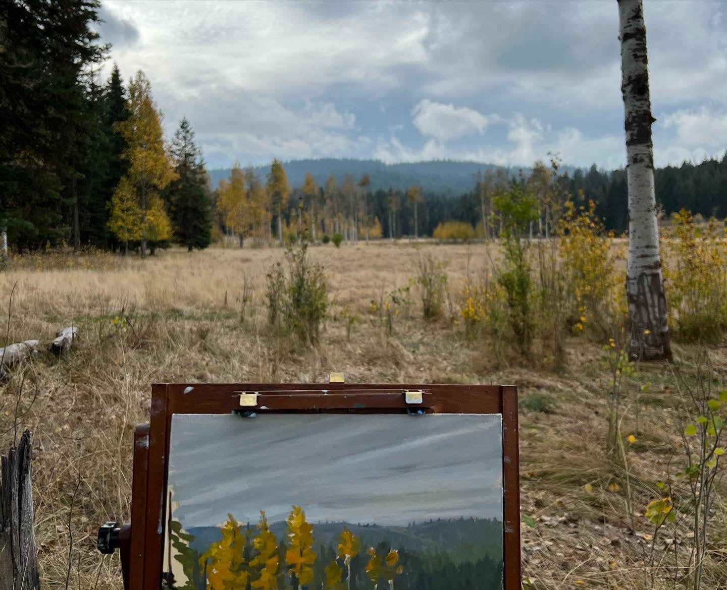 Aspen Grove at the Vesper Meadow - Original Plein Air Oil Painting