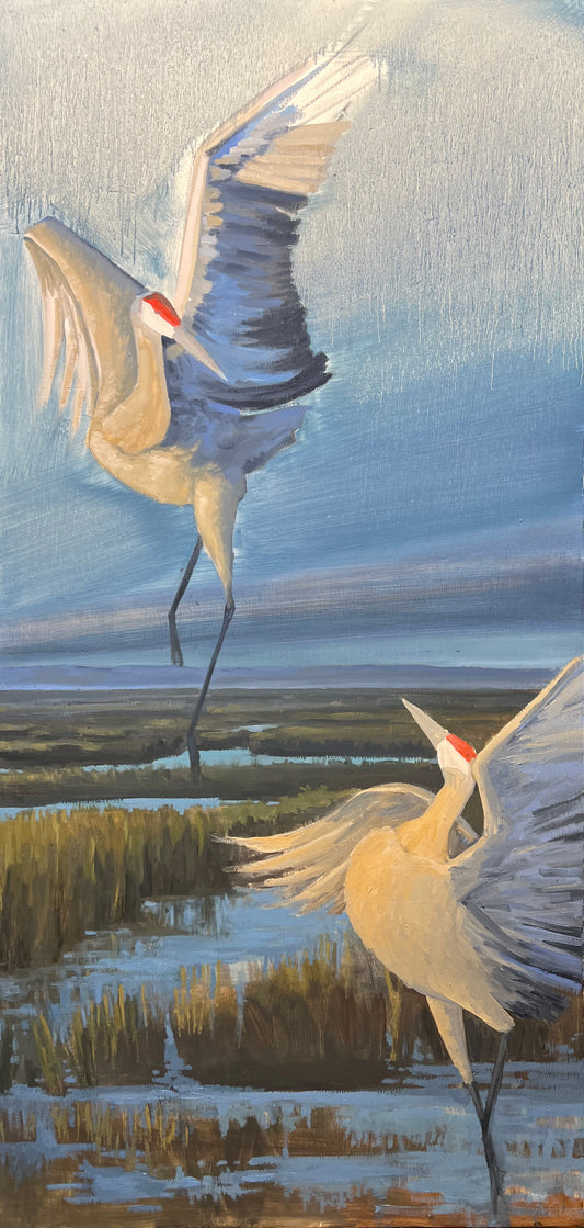 Sandhill Cranes at the Malheur Wildlife Refuge