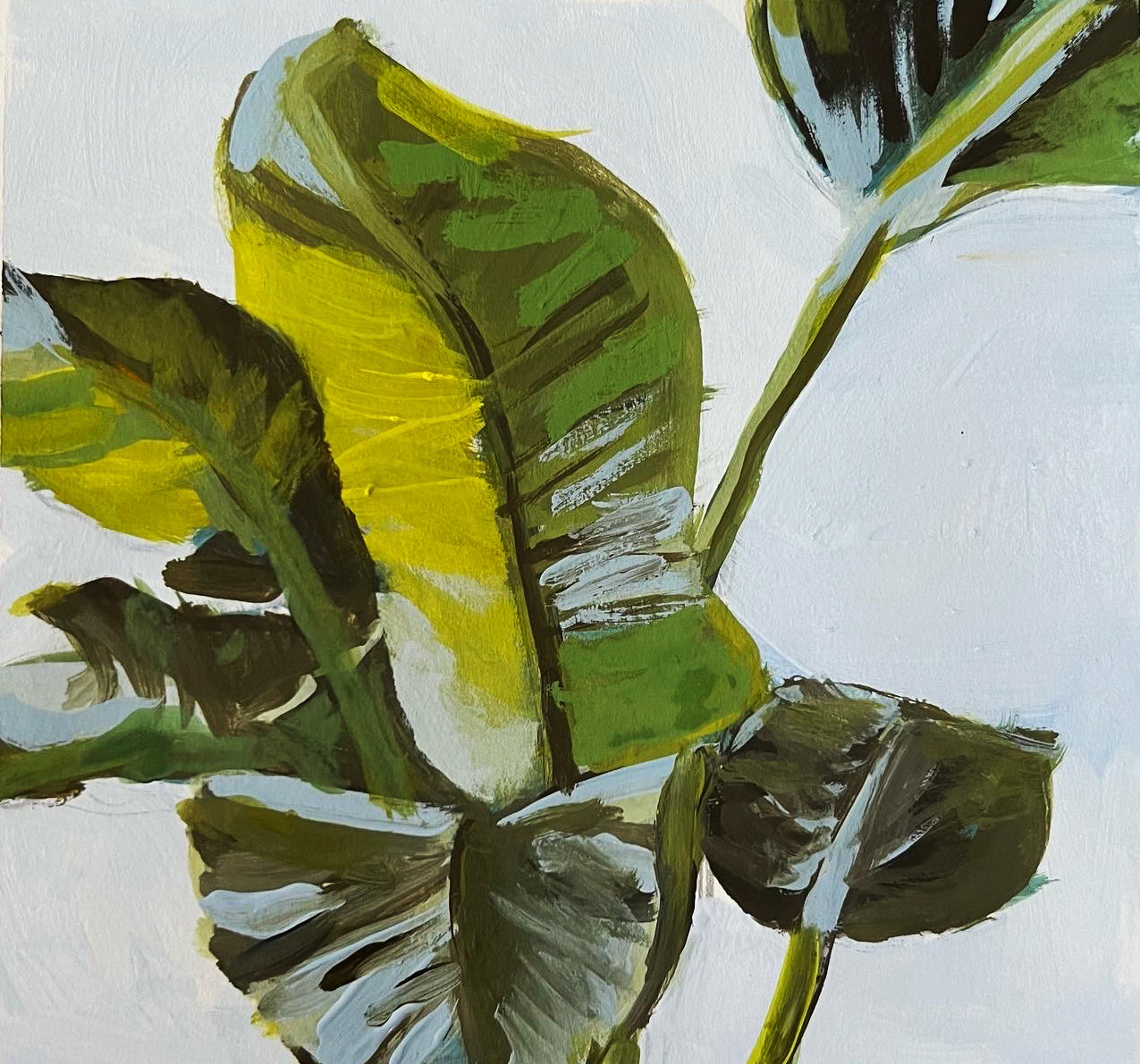 Houseplant
