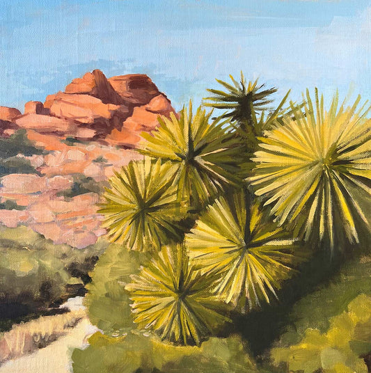 Joshua Tree on Trail
